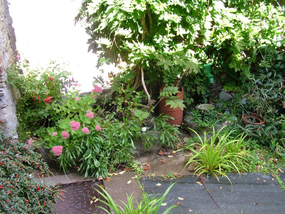 Geranium Cottage, Lostwithiel Exterior foto